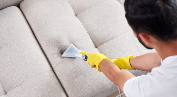 Dry cleaning worker removing dirt from sofa indoors