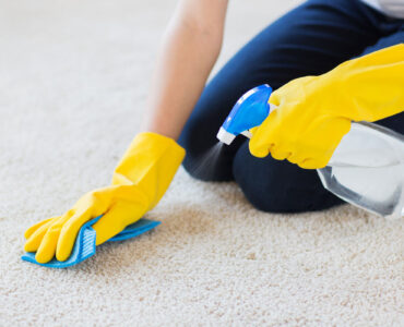 how-to-use-a-vinegar-to-clean-a-carpet-1701832539