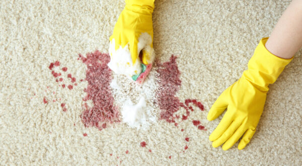 Hands in rubber gloves cleaning carpet with sponge and detergent